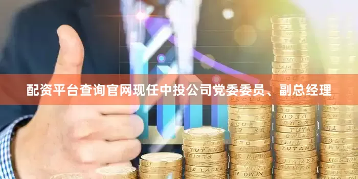 配资平台查询官网现任中投公司党委委员、副总经理