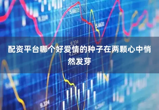 配资平台哪个好爱情的种子在两颗心中悄然发芽