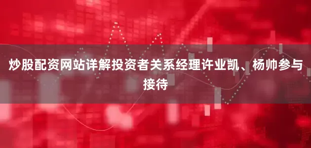 炒股配资网站详解投资者关系经理许业凯、杨帅参与接待