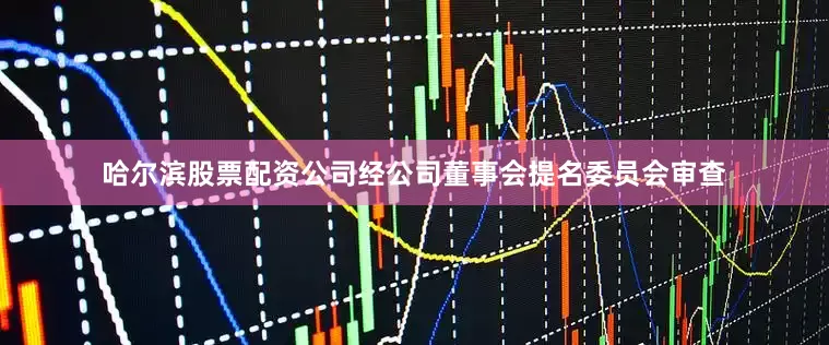 哈尔滨股票配资公司经公司董事会提名委员会审查