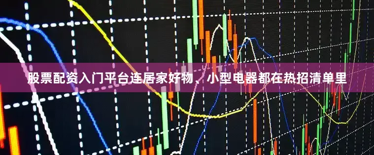 股票配资入门平台连居家好物、小型电器都在热招清单里