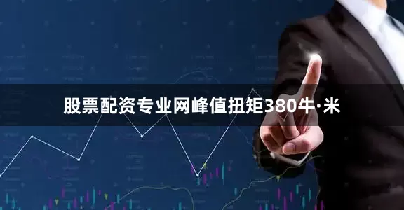 股票配资专业网峰值扭矩380牛·米