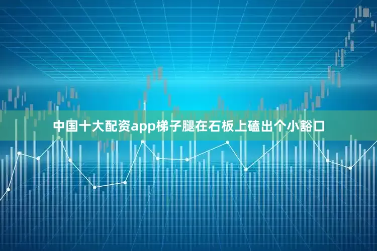 中国十大配资app梯子腿在石板上磕出个小豁口