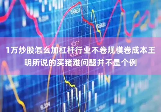 1万炒股怎么加杠杆行业不卷规模卷成本王明所说的买猪难问题并不是个例